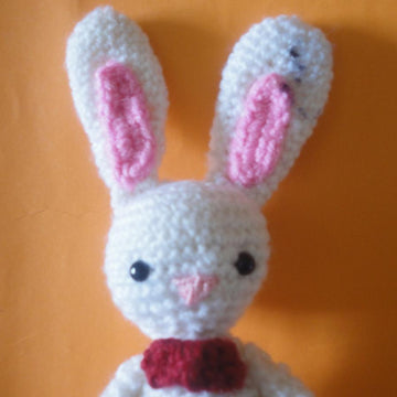 Rabbit Marco
