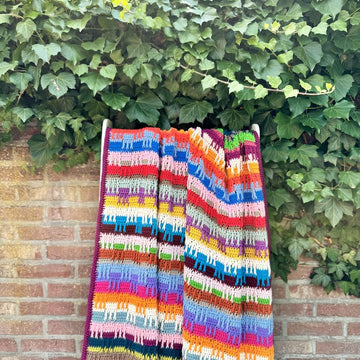 Colour Me Blanket