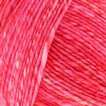Hibiscus (49)