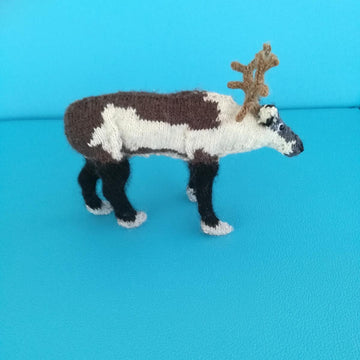 Reindeer