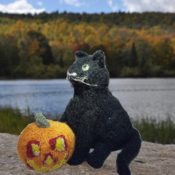 Halloween: black cat & jack-'o-lantern