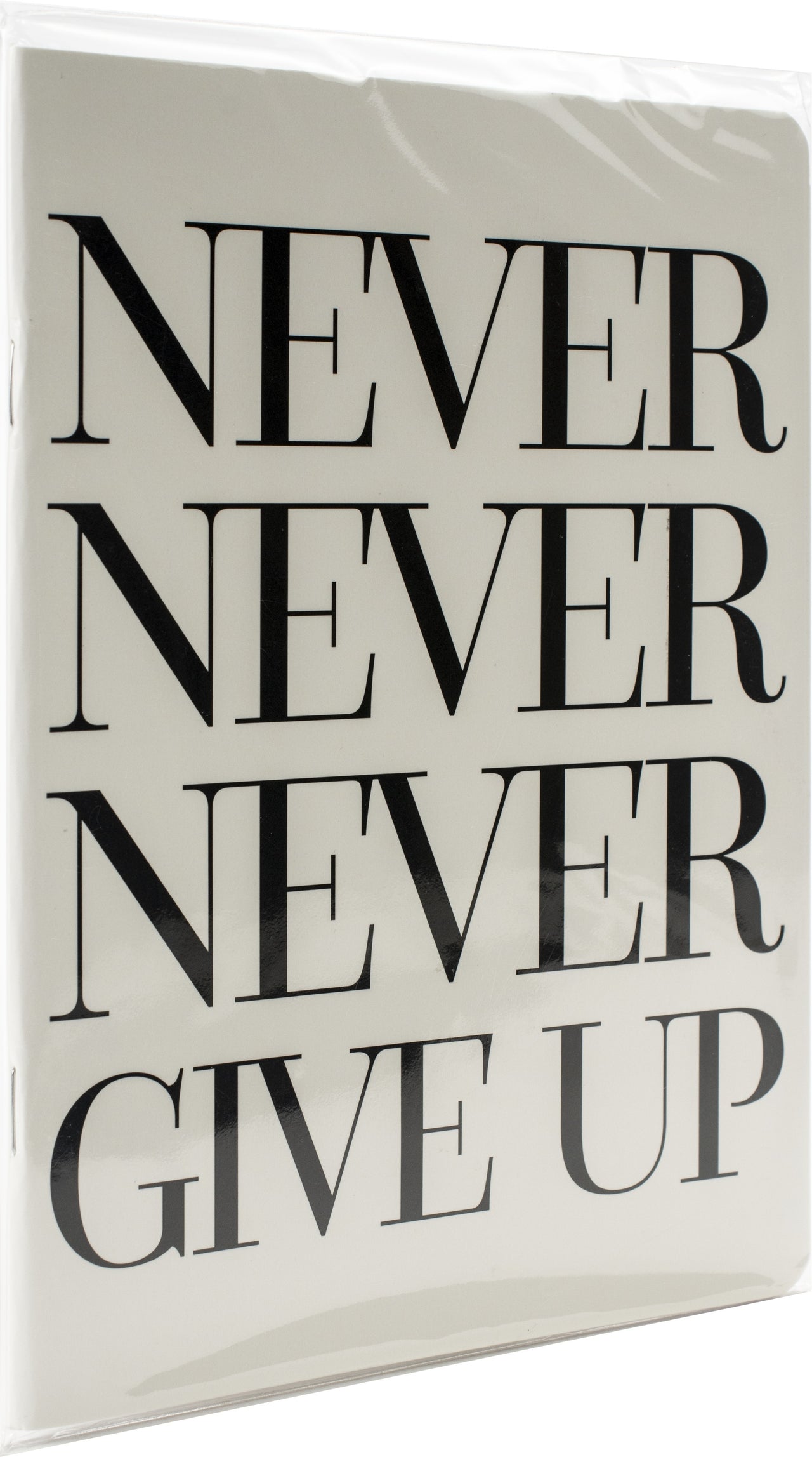 Teresa Collins Designer Notebook 6"X8" - Never Never Give Up