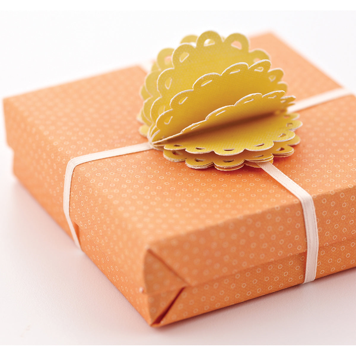 EK Success Large Punch - Scalloped Oval Frame, 2.25"X1.75"