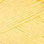 Light Yellow (003)