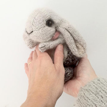 Holland Lop Rabbit