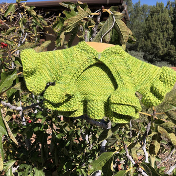 Zodee Cardigan