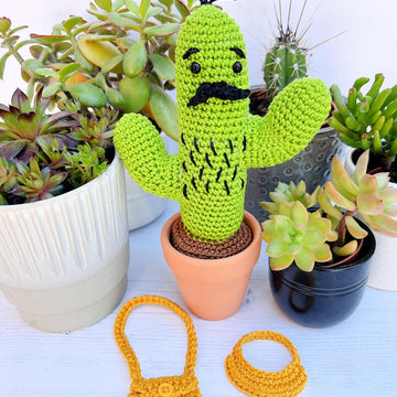 Curtis the Cactus