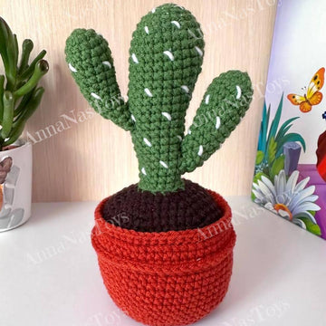 Cactus 2 in a pot