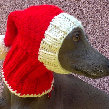 Santa Dog Hat