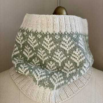 Beautiful BC Cowl