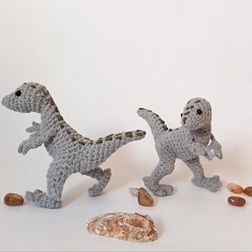 Velociraptor Dinosaurs