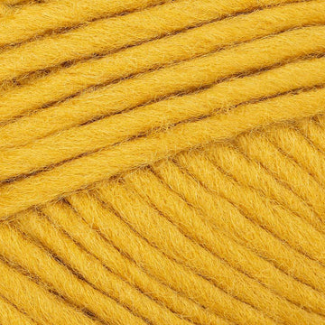 Mustard (00043)