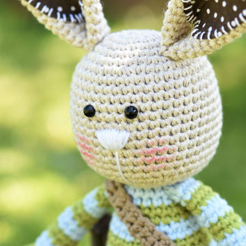 Long-ear Rabbit