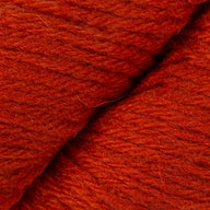 Spicy Orange (16)
