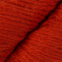 Spicy Orange (16)