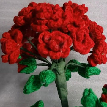 Crochet Geranium Flowers