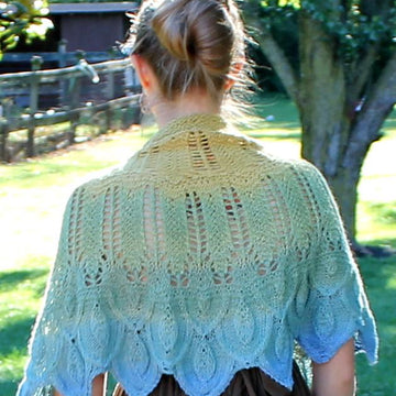 Rare Bird Shawl