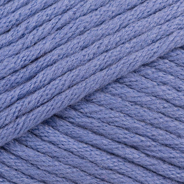 Cornflower (5726)