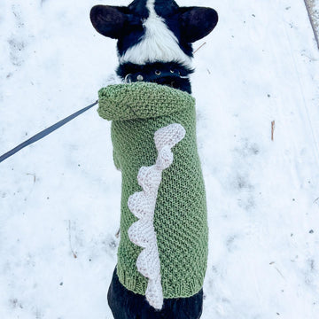 Doggo 16 dragon sweater