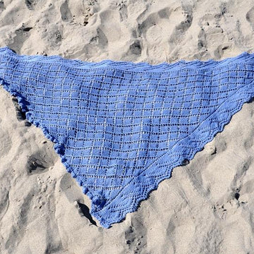 Empty Nets