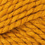 Pumpkin (0766)