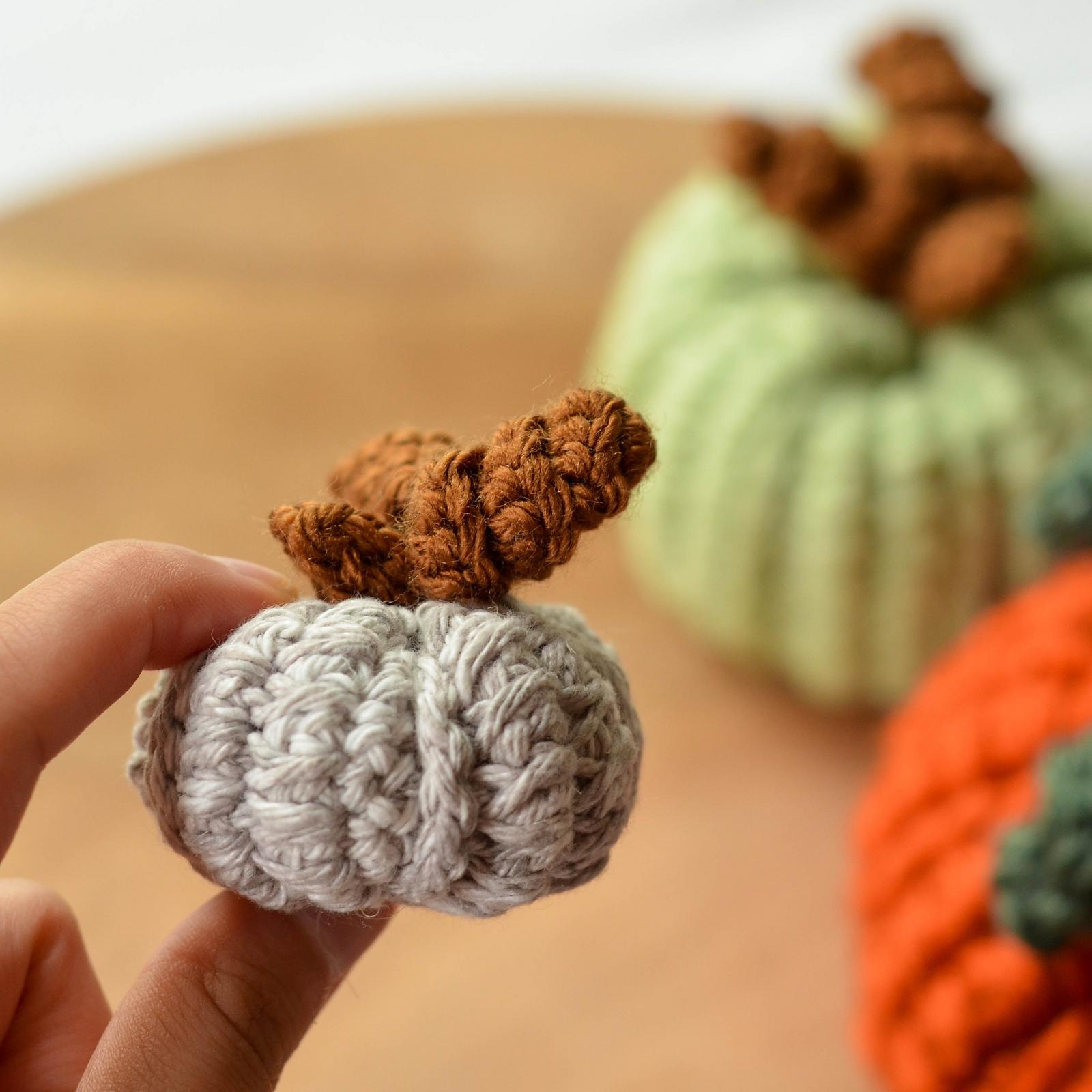 Curly Vine Pumpkin