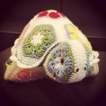 Darwin The Tortoise