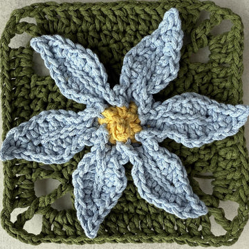 Stiff Blue-eyed Grass Flower Granny Square