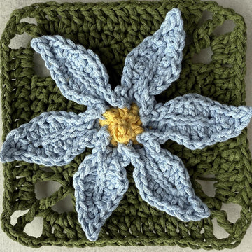 Stiff Blue-eyed Grass Flower Granny Square