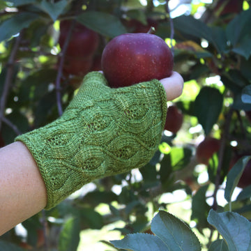 Garden of Eden Fingerless Gloves