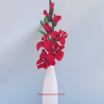 Gladiolus