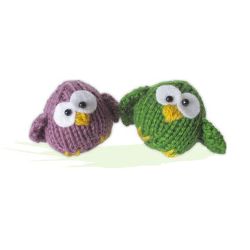 Little Owl