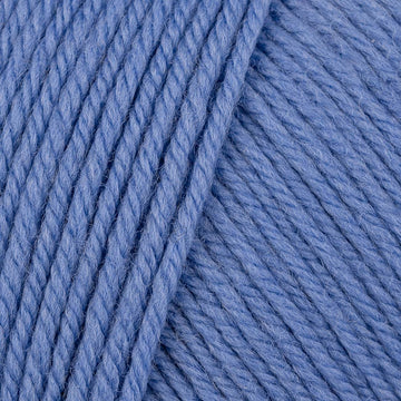 Blue Horizon (896)