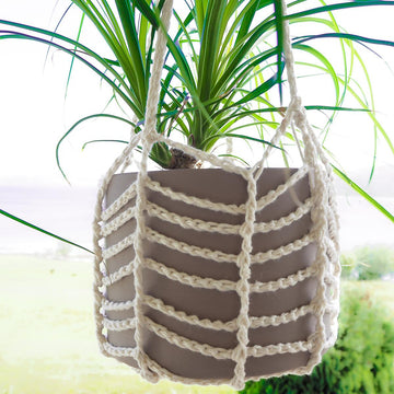 Easy Plant Hanger