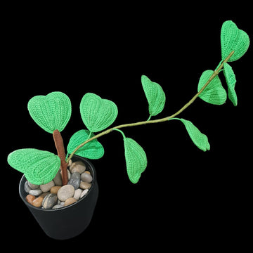 Crochet Sweetheart Hoya plant
