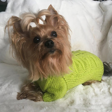 Lime Dog or Cat Sweater