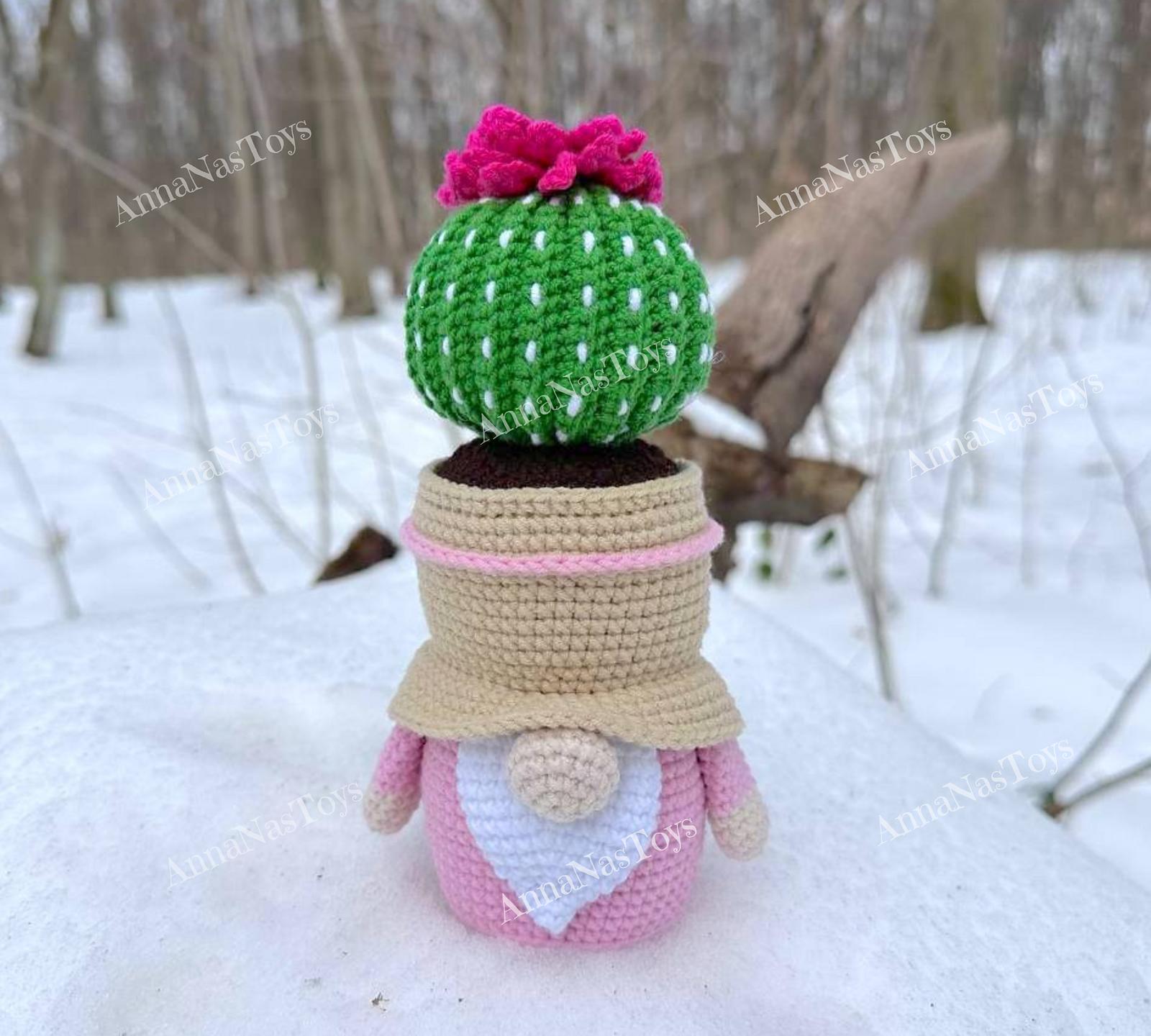Gnome-cactus in a pot 5