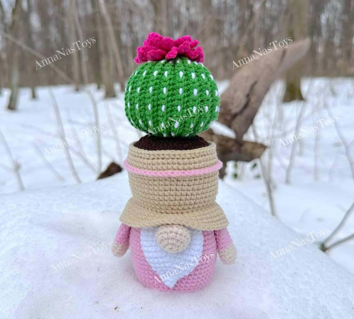 Gnome-cactus in a pot 5