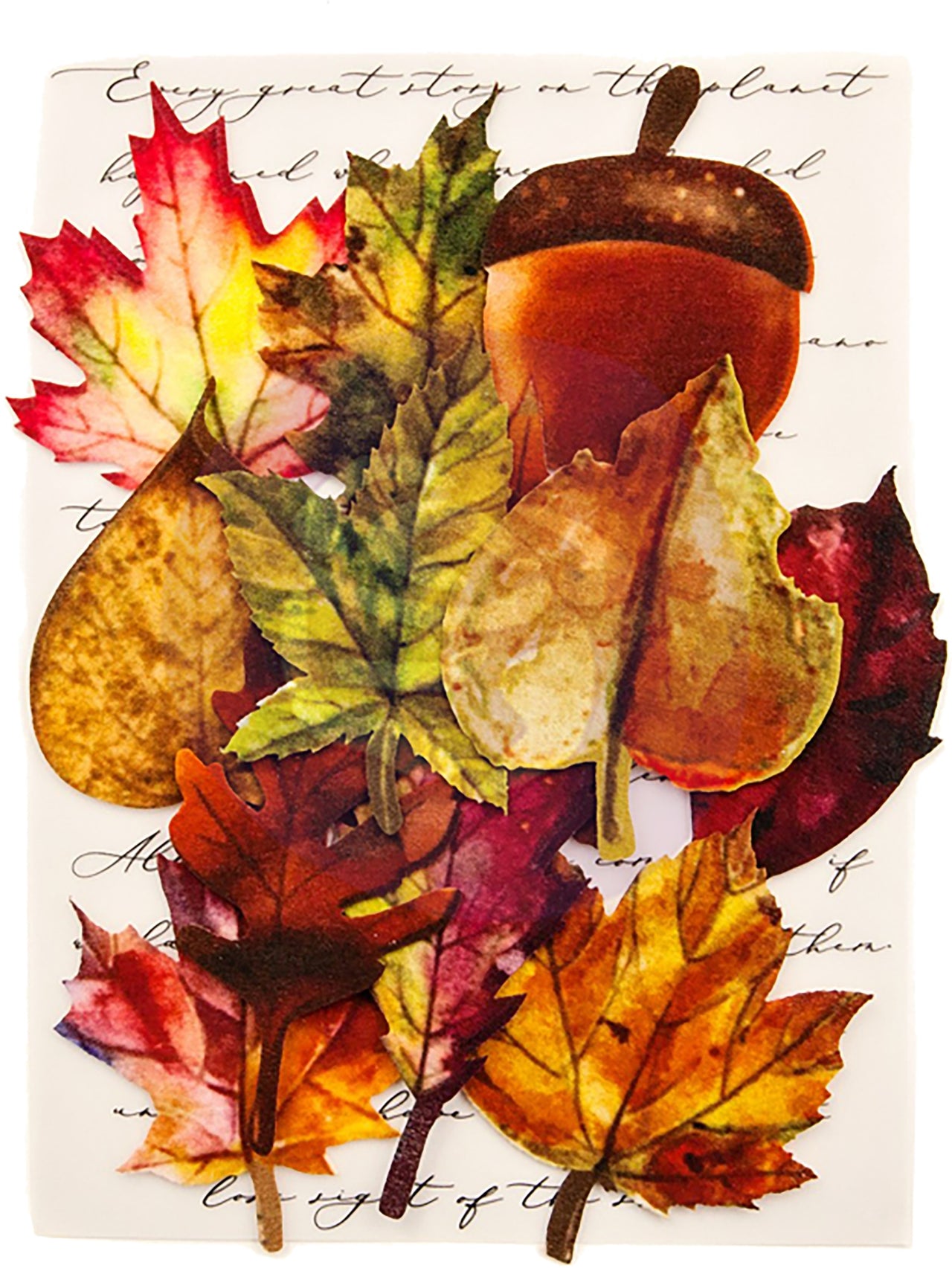 Prima Marketing Fabric Leaves 12/Pkg - Fall Pine