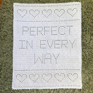 Perfect in every way baby blanket