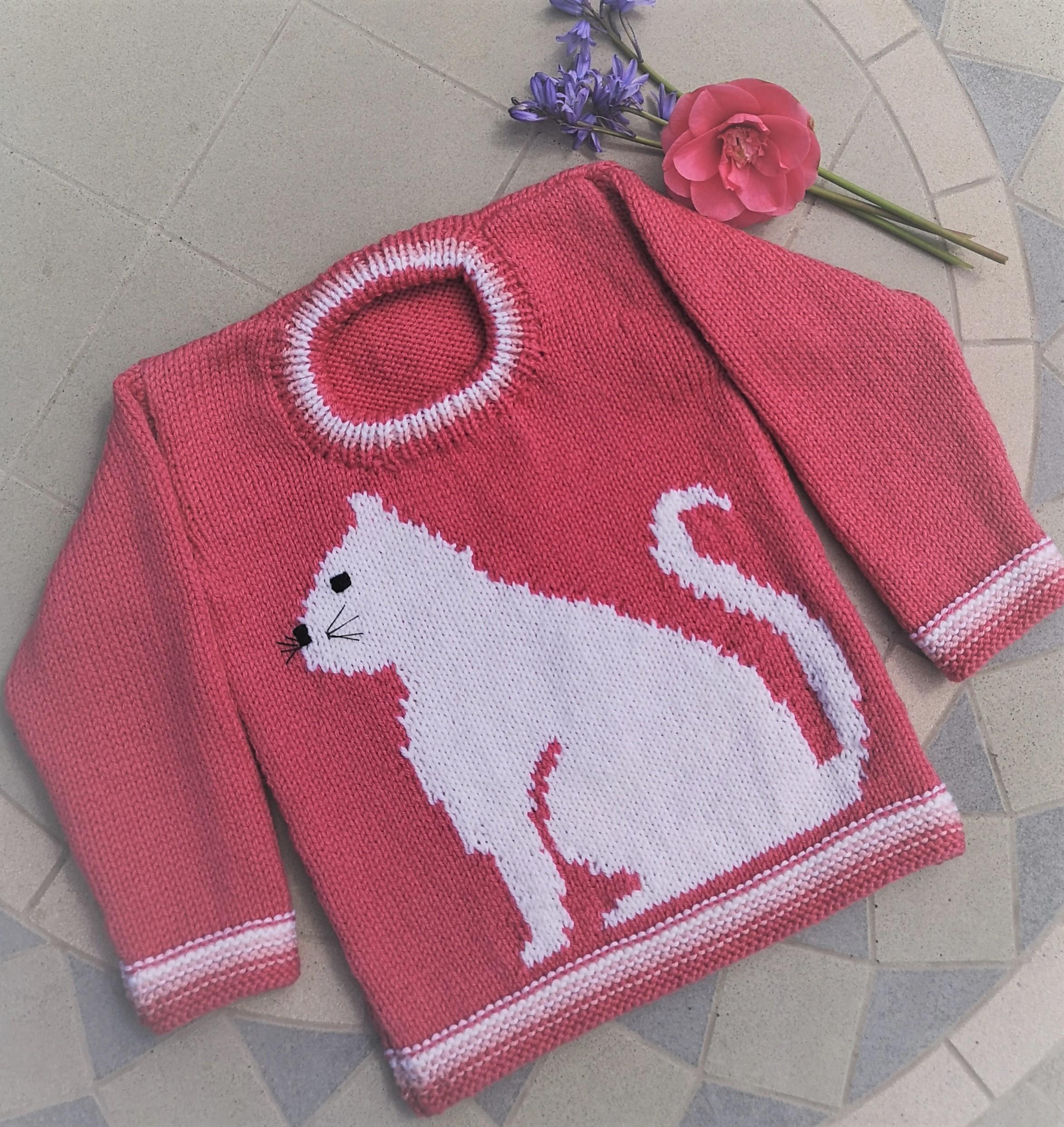 Cat on a Sweater