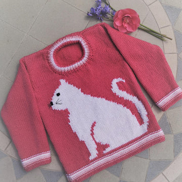 Cat on a Sweater