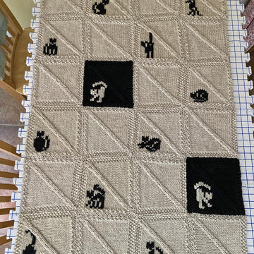 Black Cats on a Blanket