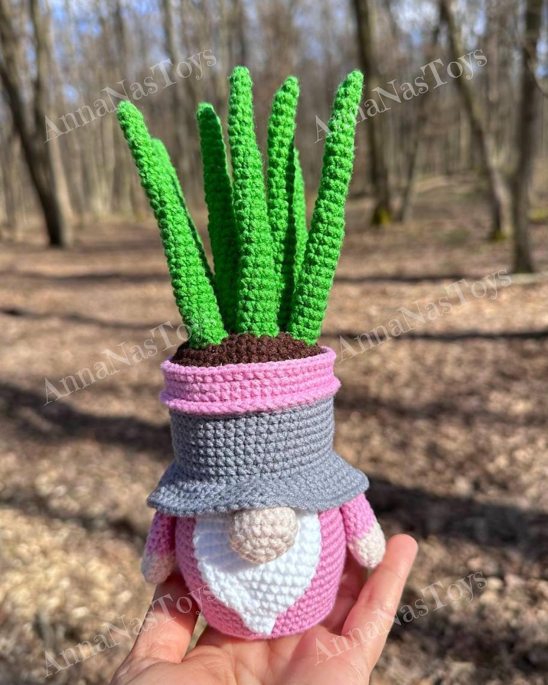 Gnome succulent_sansevieria 3