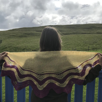 Rhubarb and Custard Shawl