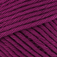 Fuchsia (03128)
