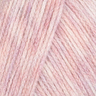 Rose (19)
