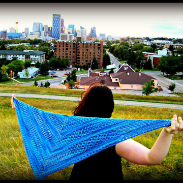 The Binary Shawlette