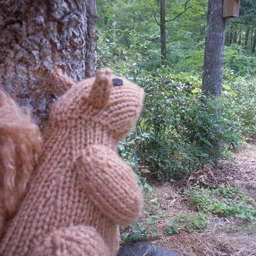 Knit One, Squirrel Two
