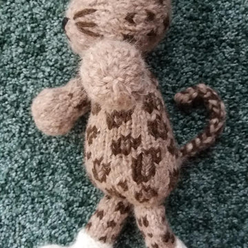 Leopard - African or Snow